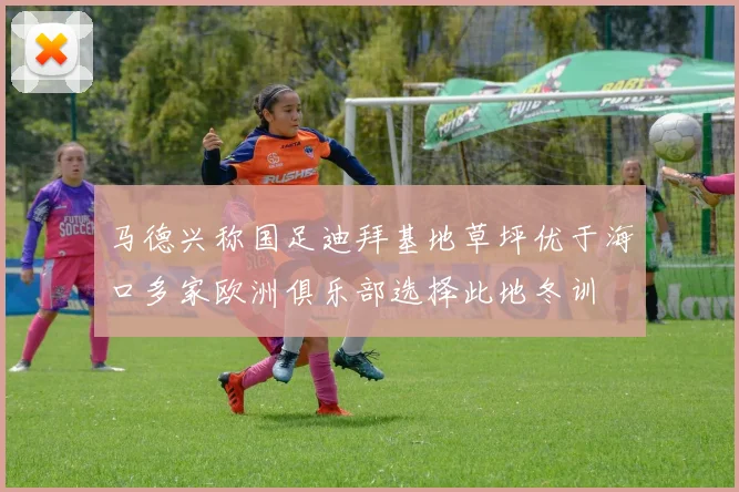 马德兴称国足迪拜基地草坪优于海口多家欧洲俱乐部选择此地冬训